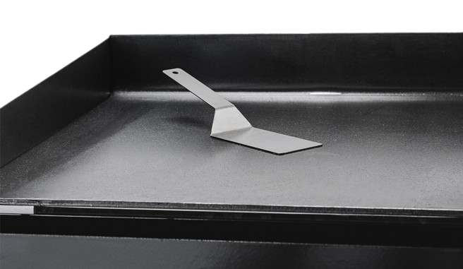 Plancha lomitera simple SOL REAL - Imagen 3